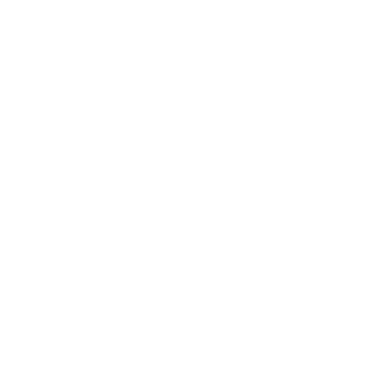 IceBreakers Charity Logo